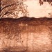 Autunno-sul-lago-80-x-60cm-opere-artista-pirografia-renzo-gaioni